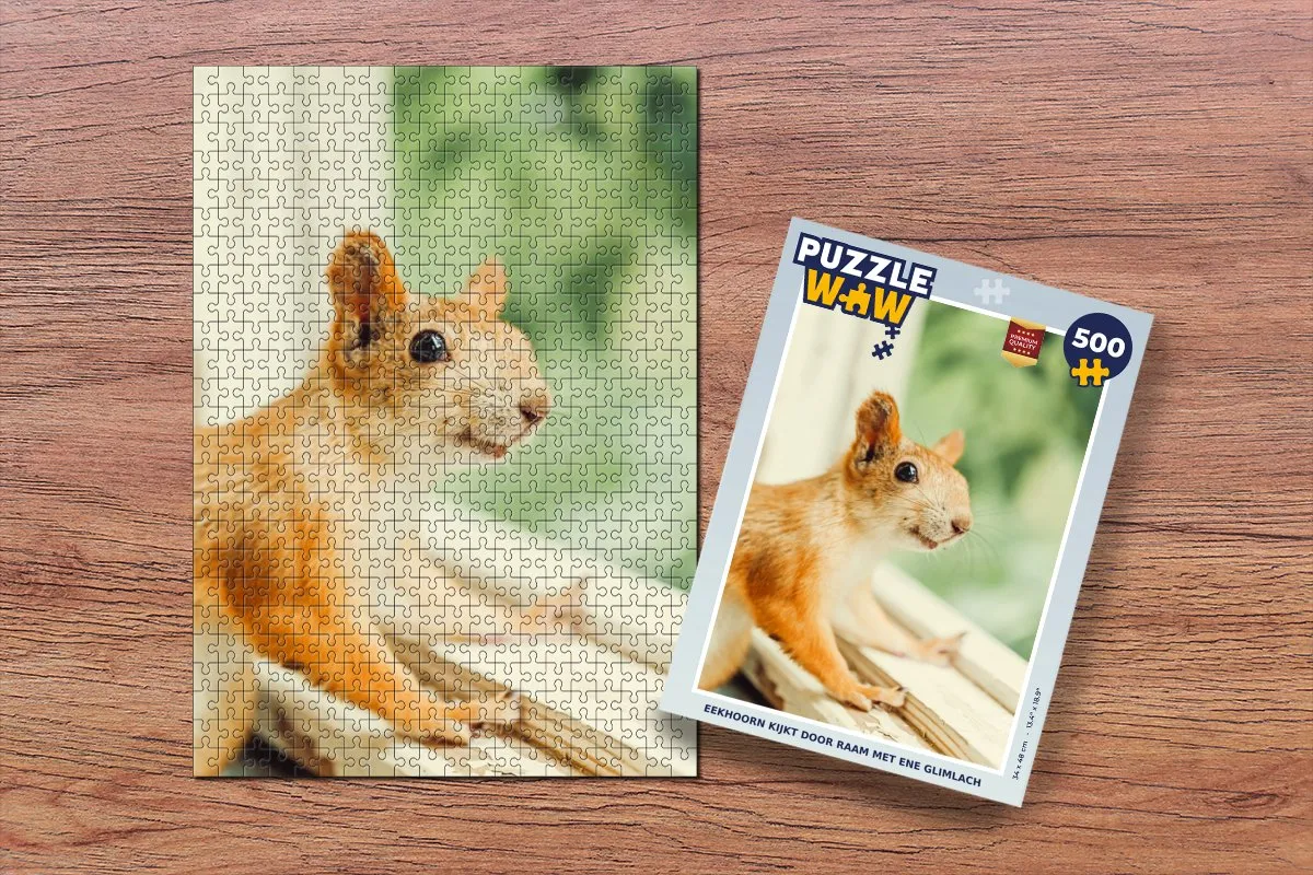 PuzzleWow Legpuzzel 500 Stuks Multicolor