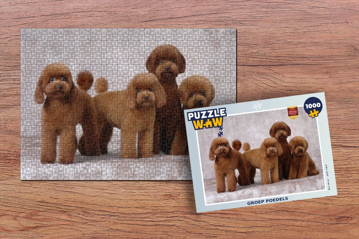 PuzzleWow Legpuzzel 1000 Stuks - Multicolor