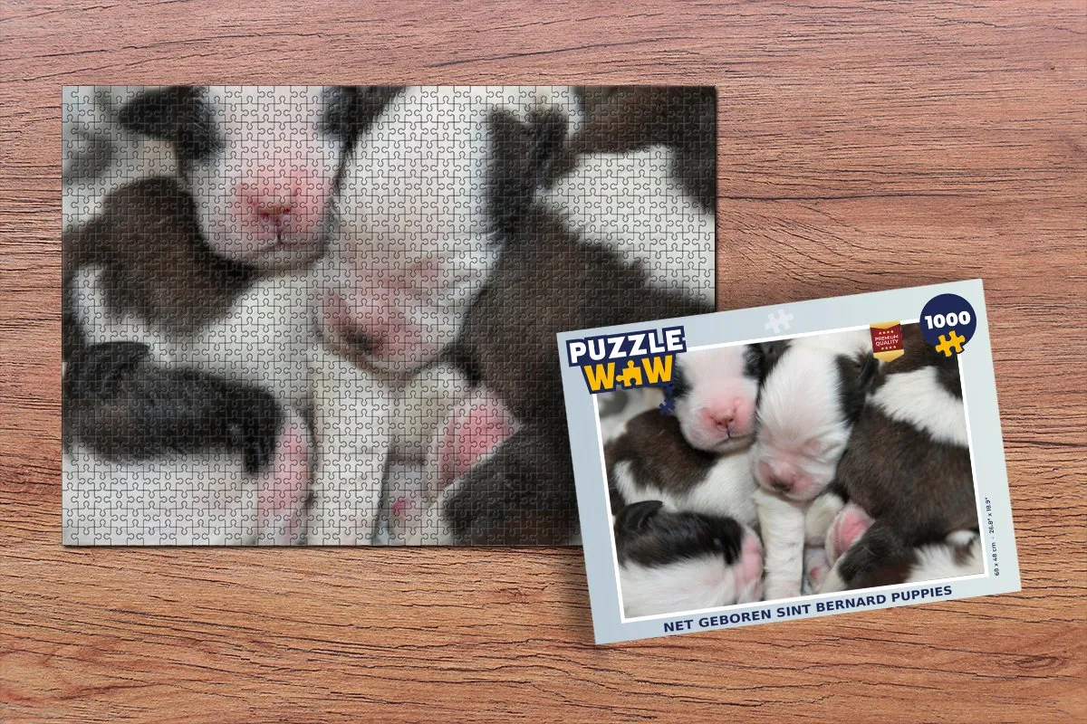 PuzzleWow Net Geboren Sint Bernard Puppy Legpuzzel 1000 Stuks - Multicolor