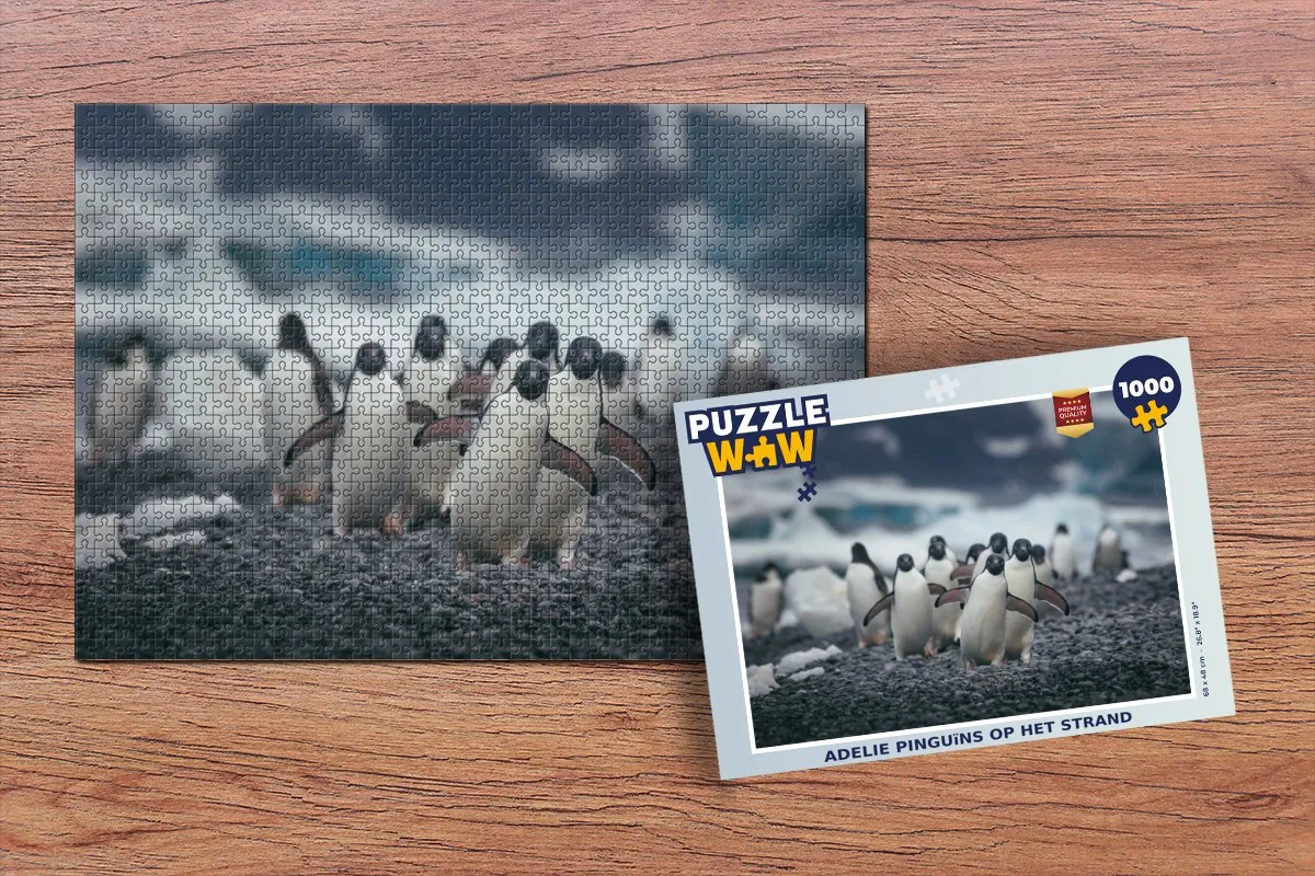 PuzzleWow Adelie Pinguïns Legpuzzel 1000 Stuks - Multicolor