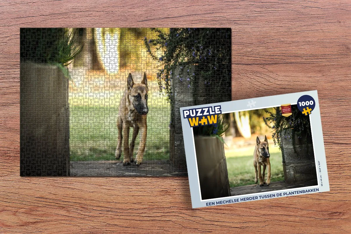 PuzzleWow Legpuzzel Een Mechelse Herder Tussen De Plantenbakken 1000 Stuks - Multicolor