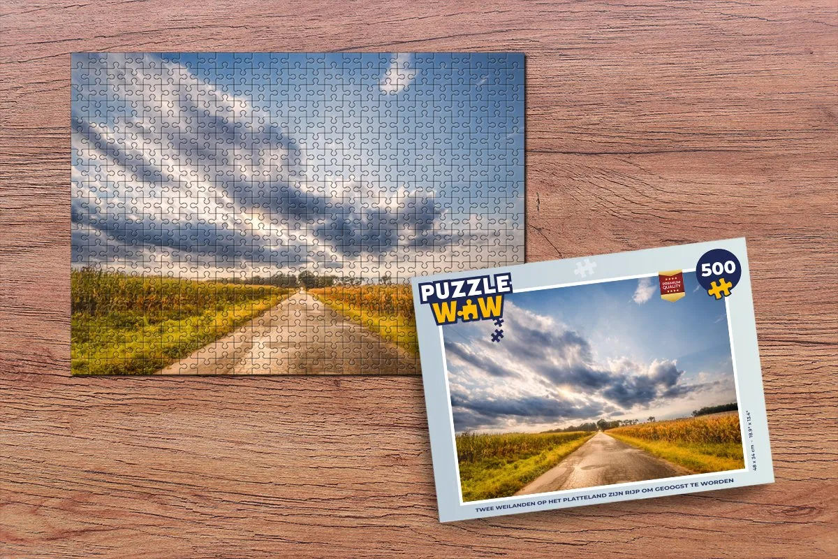 PuzzleWow Legpuzzel 500 Stuks - Twee Weilanden - Multicolor