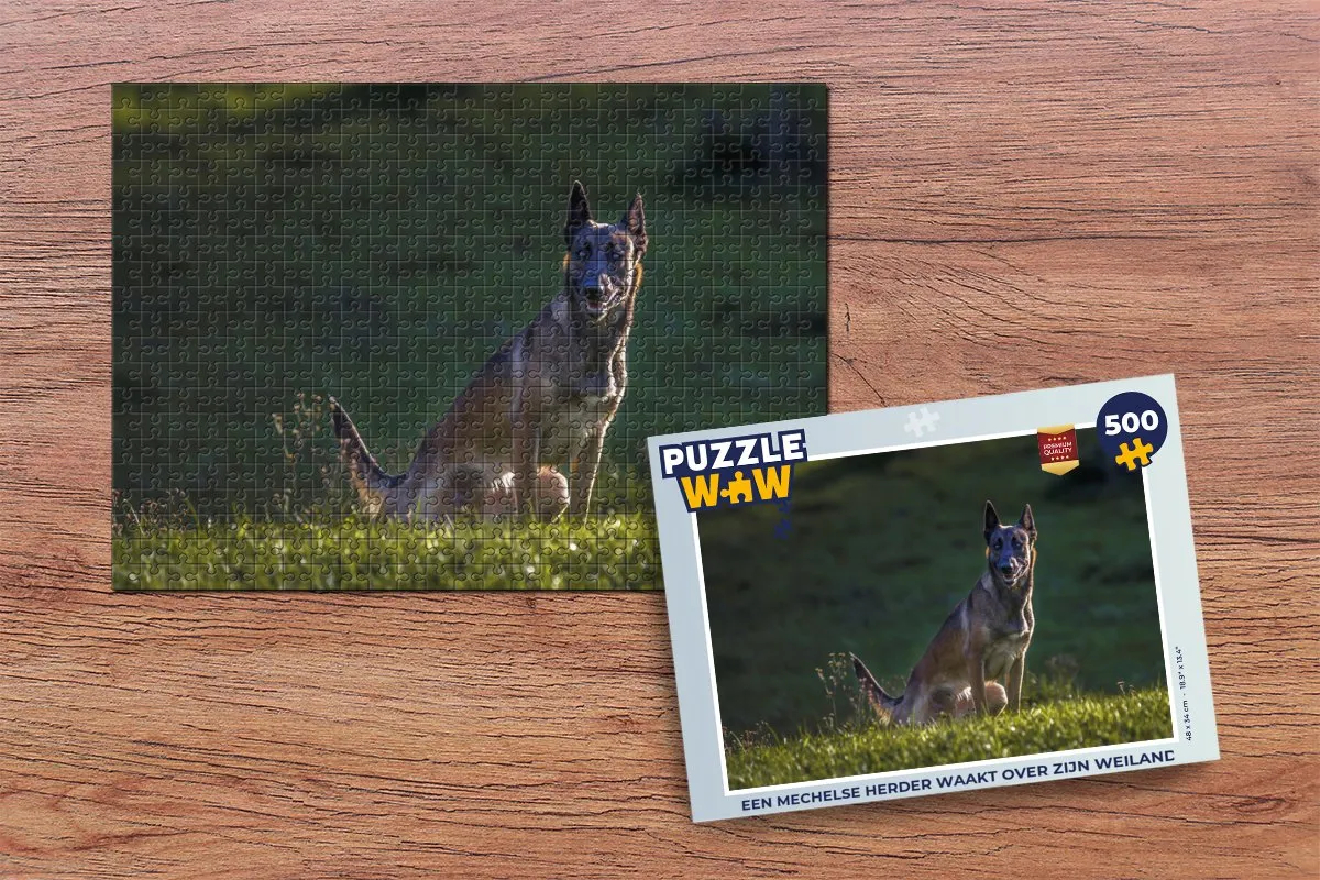 PuzzleWow Legpuzzel Een Mechelse Herder 500 Stuks - Multicolor