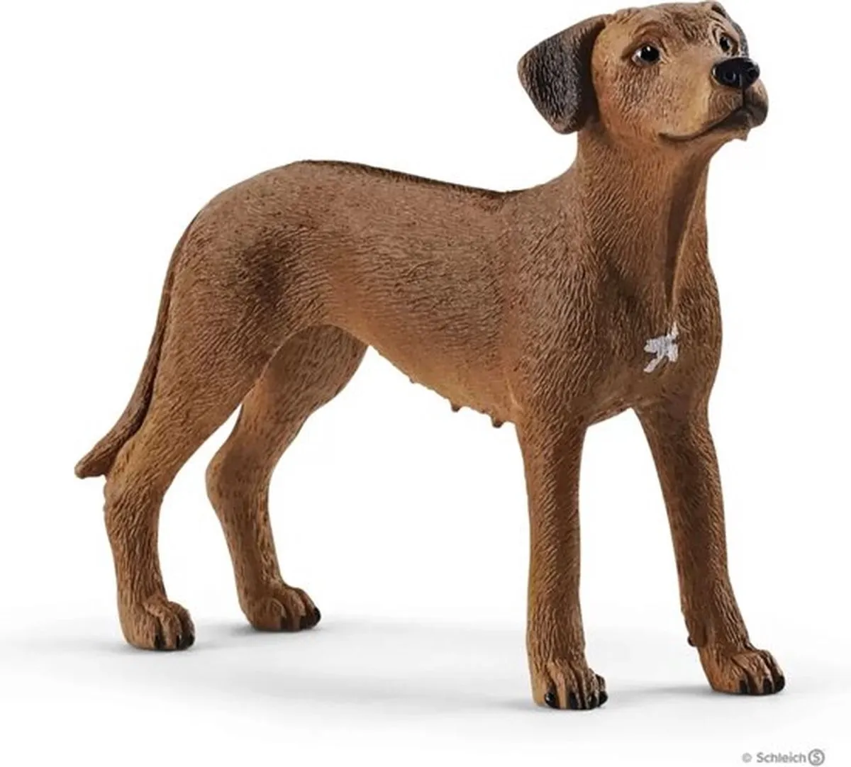 Schleich FARM WORLD Rhodesische Ridgeback 13895