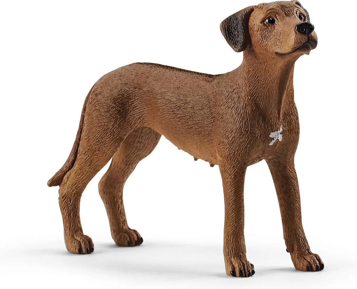 Schleich FARM WORLD Rhodesische Ridgeback 13895