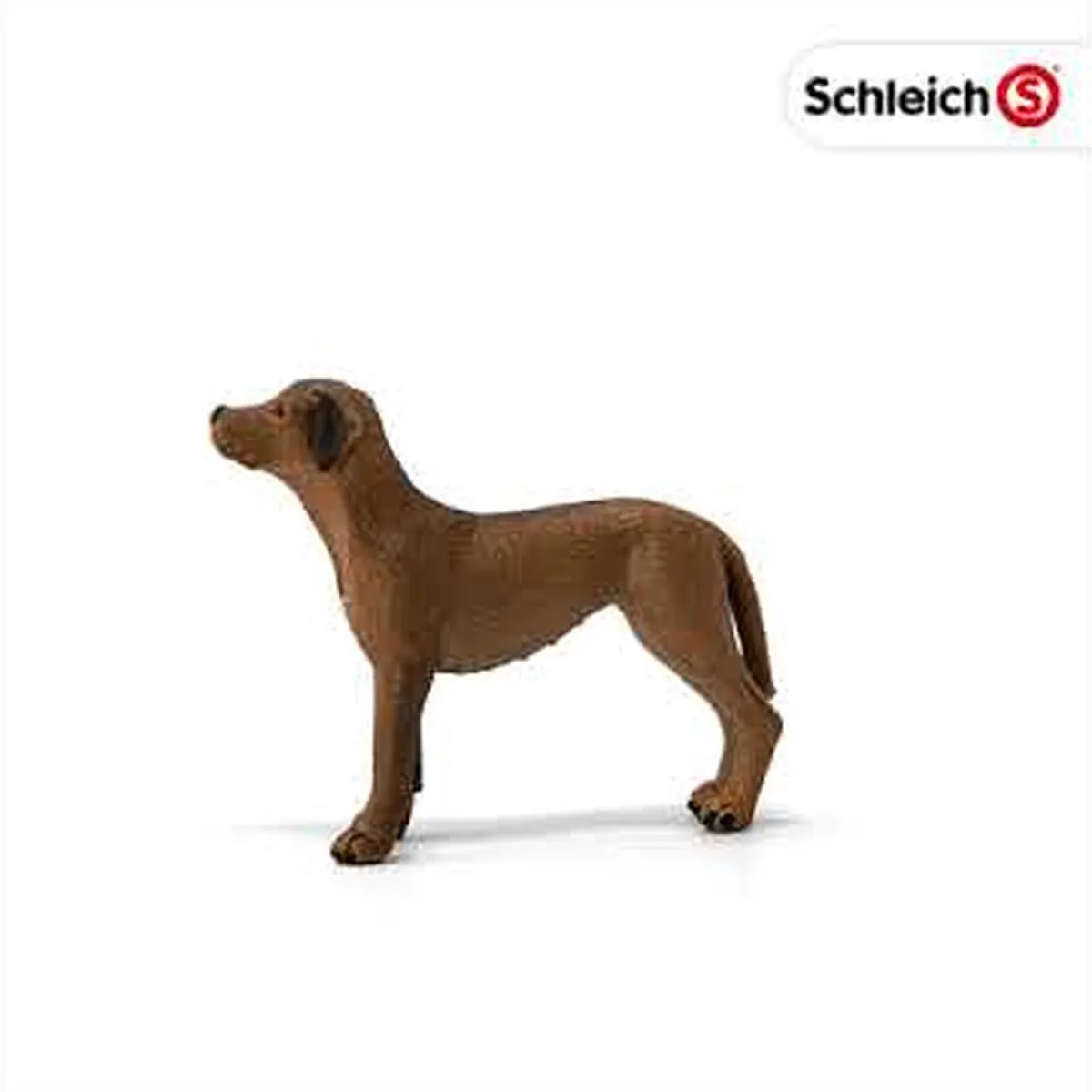 Schleich FARM WORLD Rhodesische Ridgeback 13895 - afbeelding 6 van 6