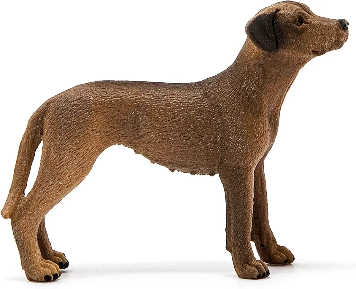 Schleich FARM WORLD Rhodesische Ridgeback 13895