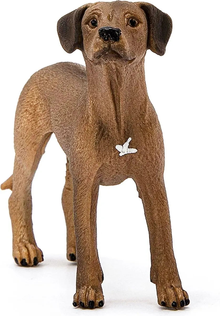 Schleich FARM WORLD Rhodesische Ridgeback 13895