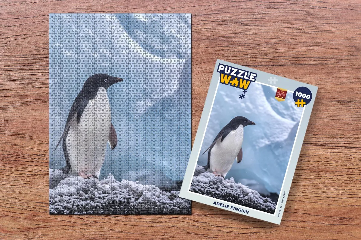 PuzzleWow Adelie Pinguïn Legpuzzel 1000 Stuks - Multicolor