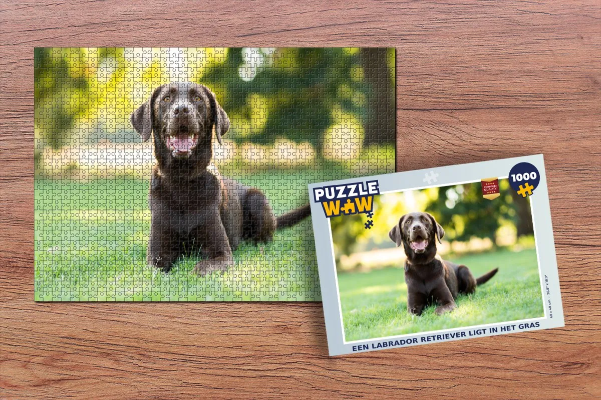 PuzzleWow Labrador Retriever Legpuzzel 1000 Stuks - Multicolor