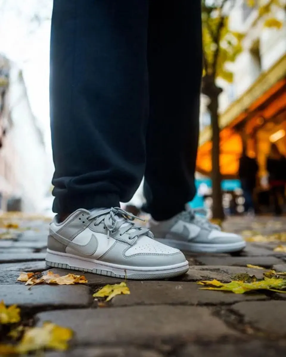 Nike Dunk Low Retro DD1391-103 - Heren Sneakers 48.5 - Wit/Grey Fog - afbeelding 6 van 6