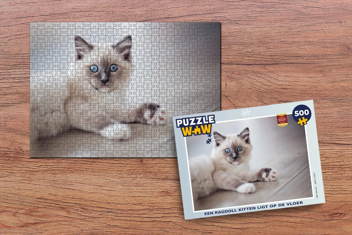 PuzzleWow Legpuzzel Ragdoll Kitten 500 Stuks - Multicolor