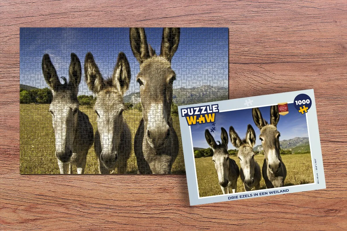 PuzzleWow Legpuzzel Drie ezels in een weiland 1000 Stuks - Multicolor