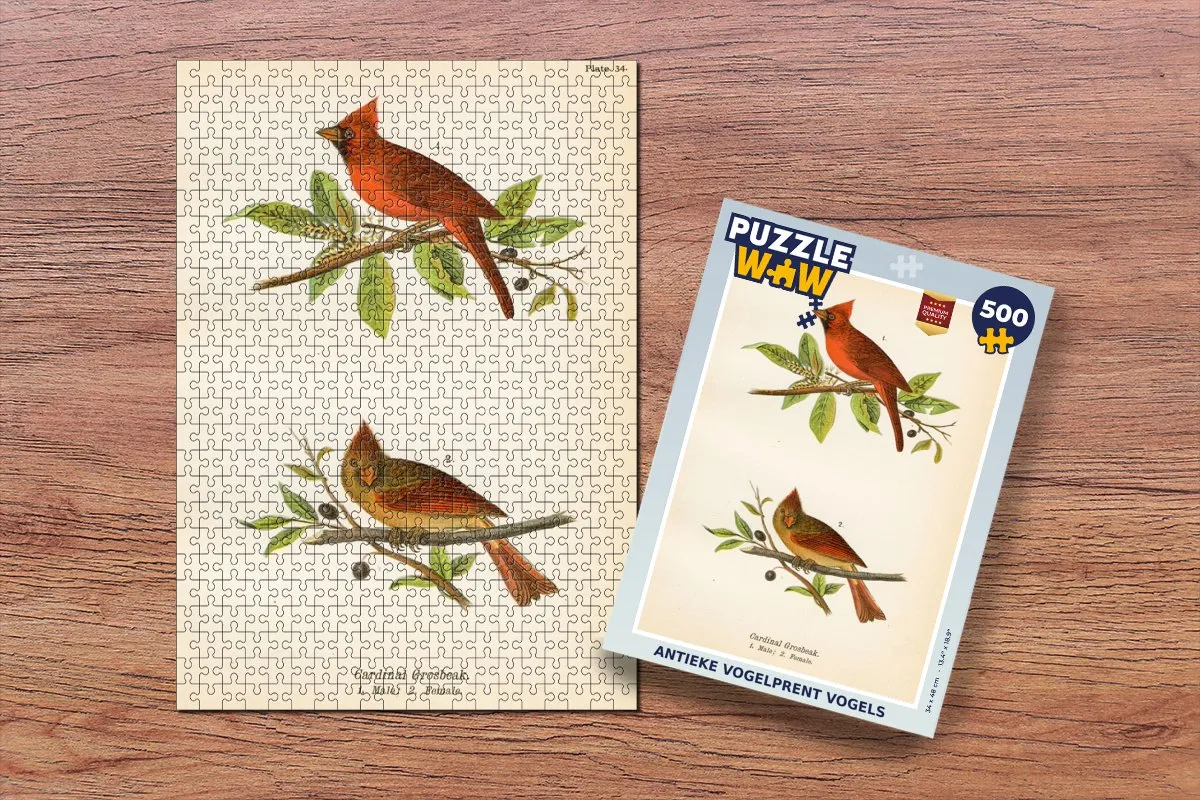PuzzleWow Antieke Vogelprent Legpuzzel 500 Stuks - Multicolor