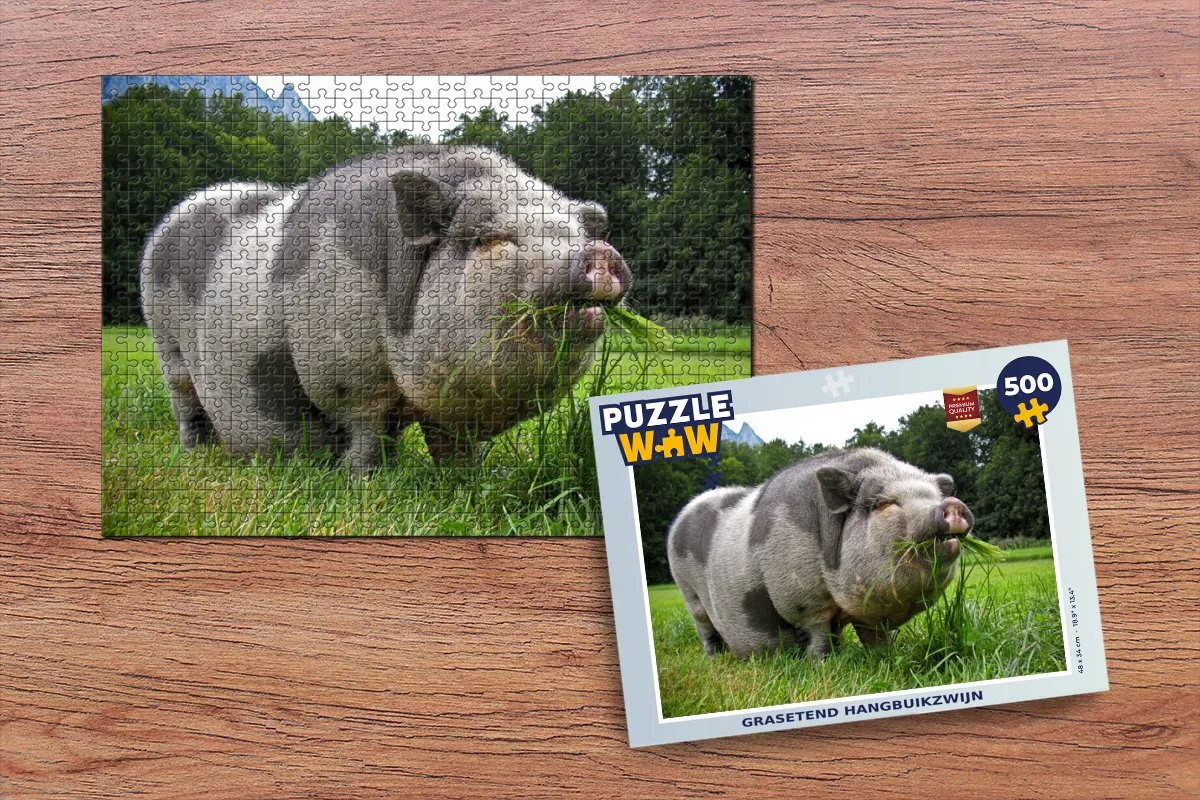 PuzzleWow Hangbuikzwijn Legpuzzel 500 Stuks - Multicolor