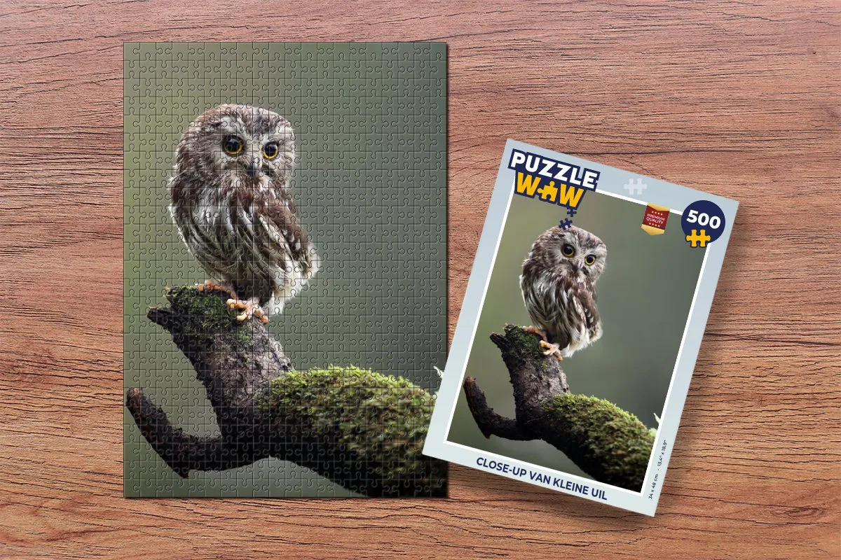 PuzzleWow Legpuzzel Close-up Uil 500 Stuks - Multicolor