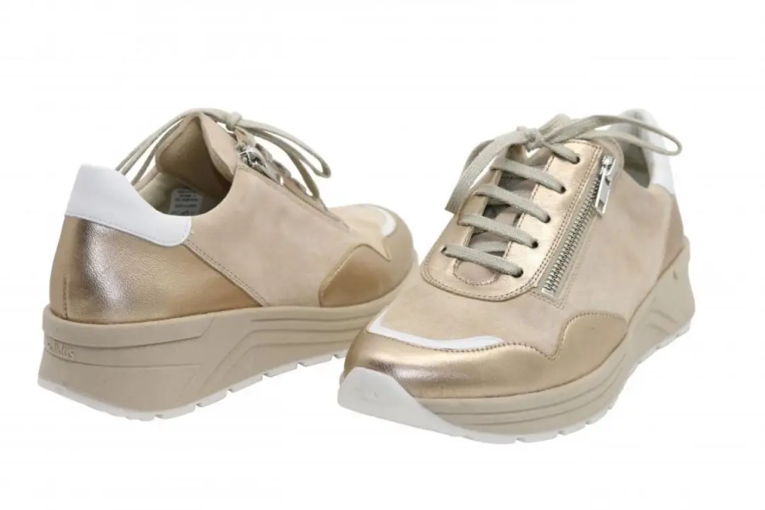 Solidus Sneakers