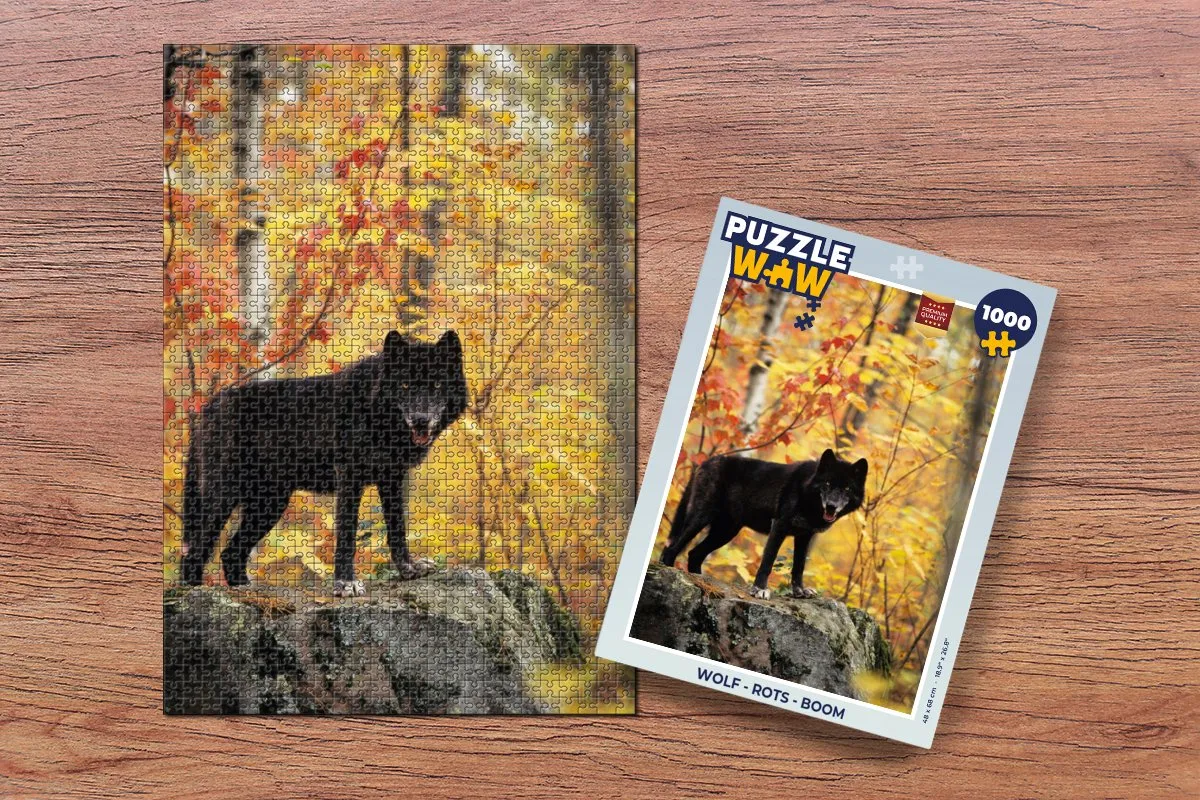 PuzzleWow Legpuzzel 1000 Stuks - Multicolor