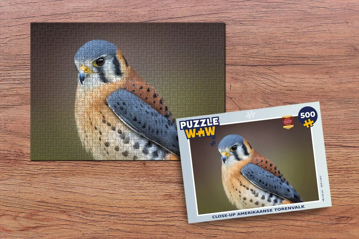 PuzzleWow Vogel Macro Puzzel 500 Stuks - Multicolor