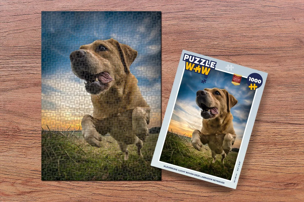 PuzzleWow Legpuzzel Labrador Retriever 1000 Stuks - Multicolor