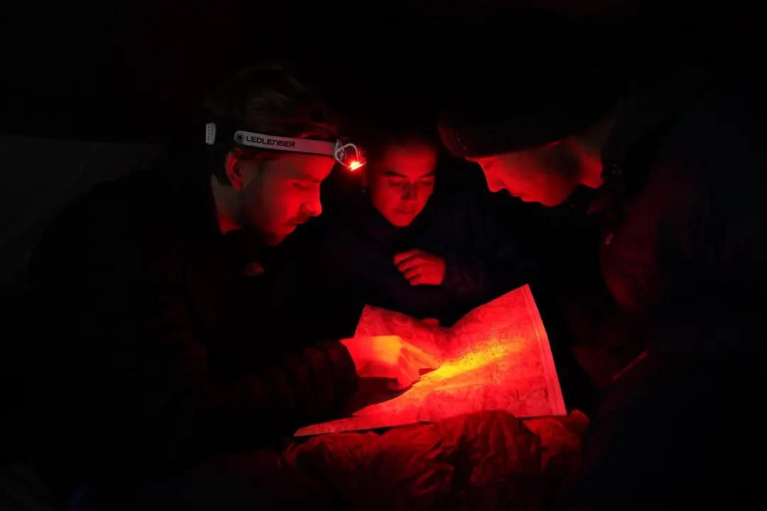 Ledlenser MH7 Hoofdlamp 600 Lumen - Zwart/Grijs