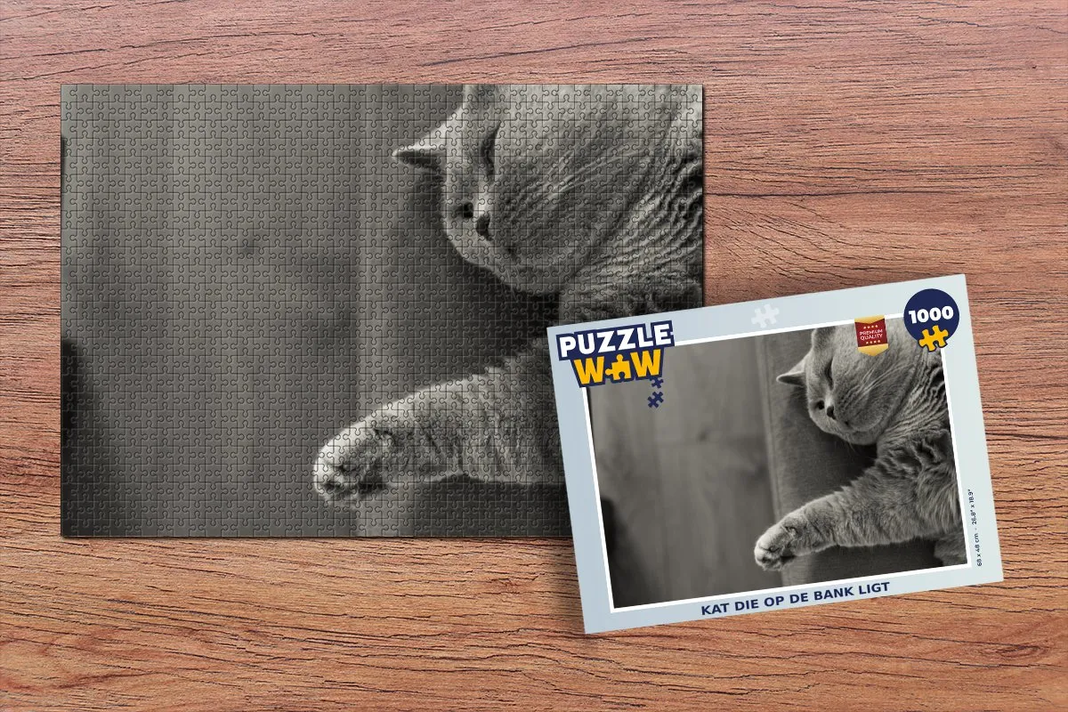 PuzzleWow Legpuzzel Kat op de Bank 1000 Stuks - Multicolor