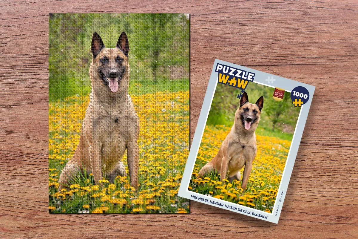 PuzzleWow Legpuzzel Mechelse Herder 1000 Stuks - Multicolor