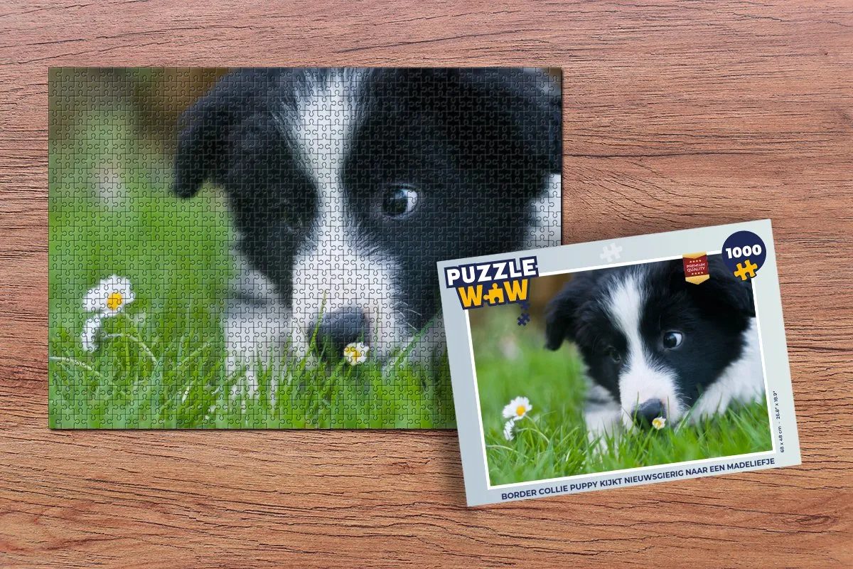 PuzzleWow Legpuzzel Border Collie 1000 Stuks - Multicolor