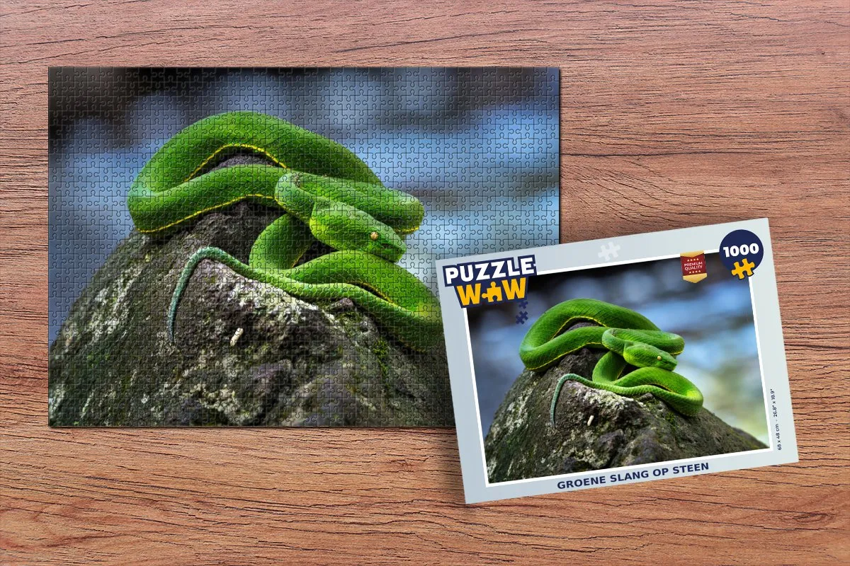 PuzzleWow Legpuzzel Groene slang op steen 1000 stukjes - Multicolor