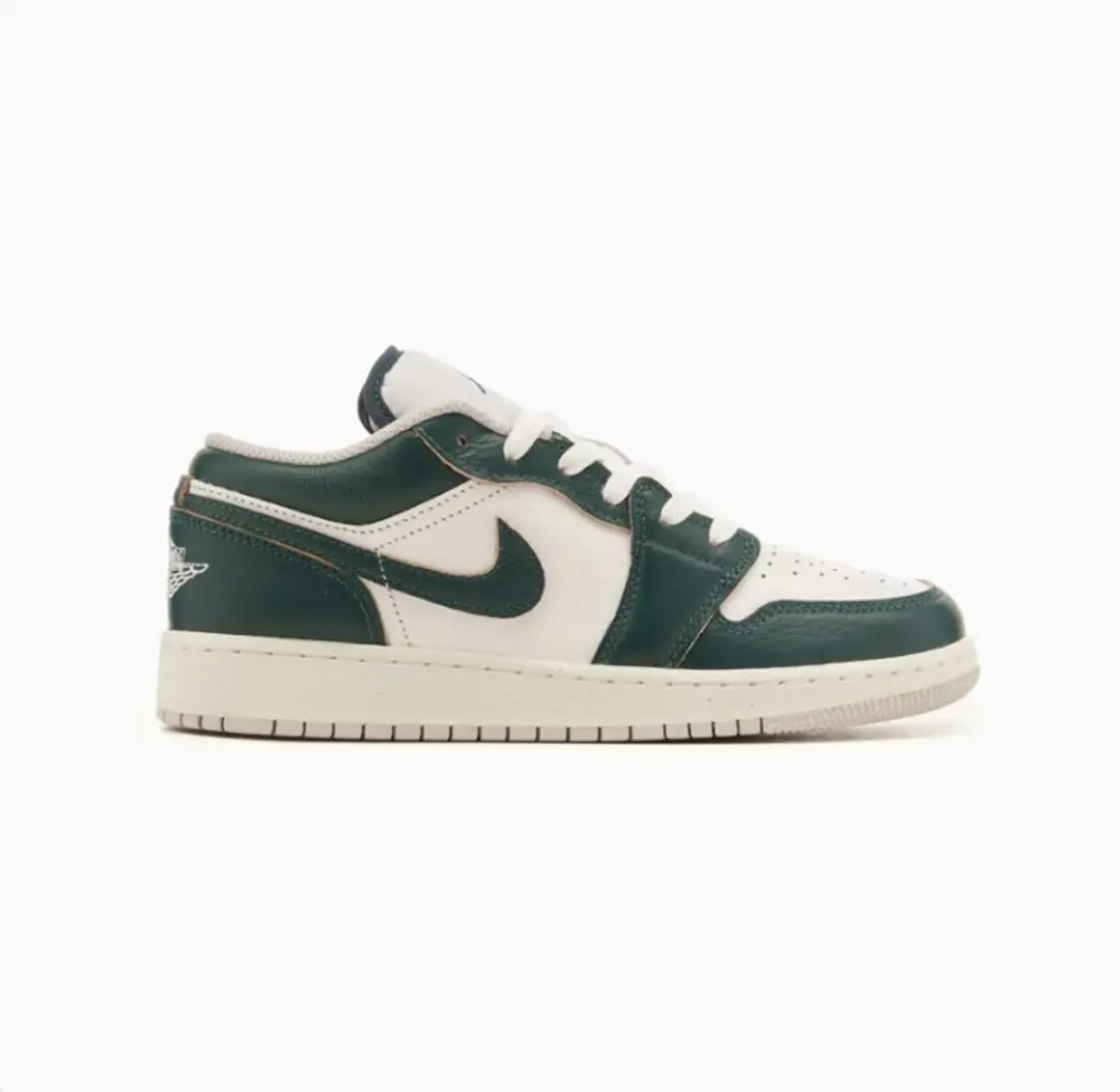Jordan Air Jordan 1 Low SE FQ8041-300