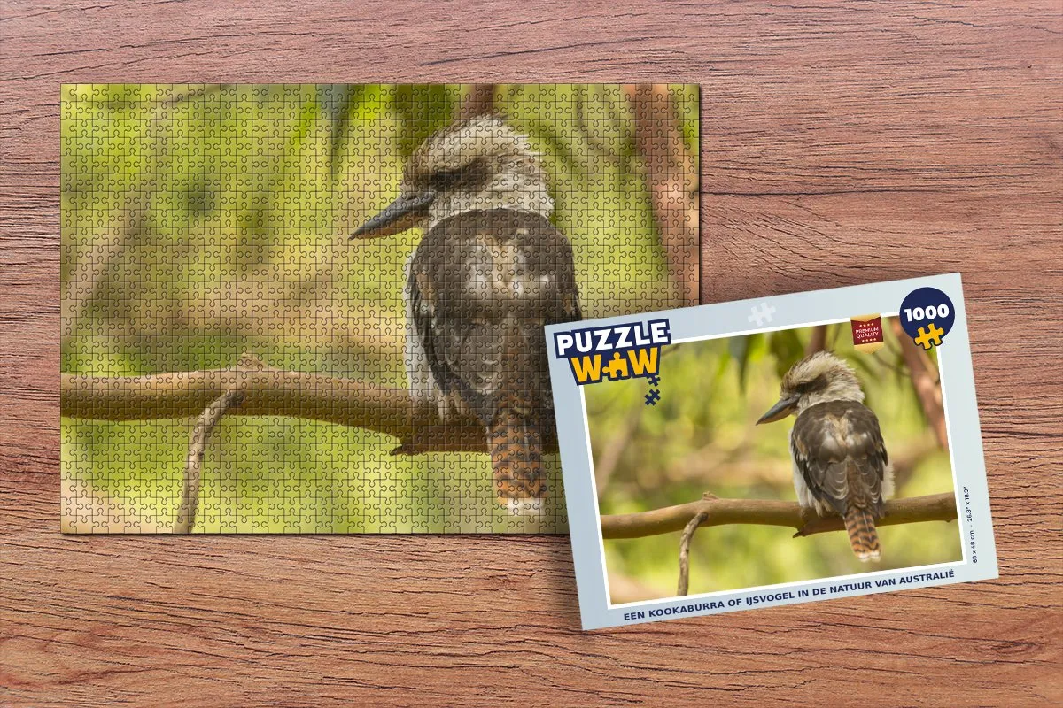 PuzzleWow Legpuzzel 1000 Stuks - Multicolor