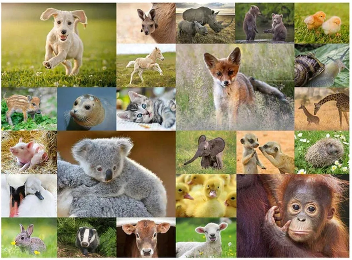 Ravensburger Schattige Babydieren Legpuzzel 200 XXL Stuks - Multicolor