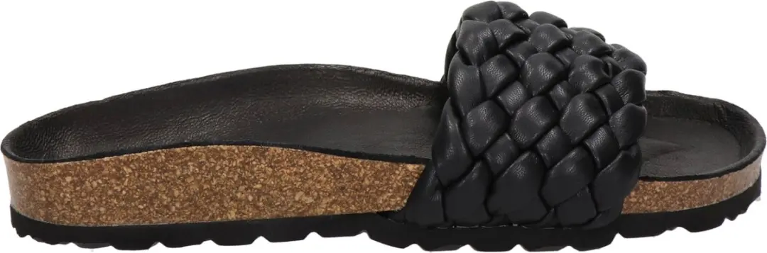 Verbenas 330079V-0260 Rica