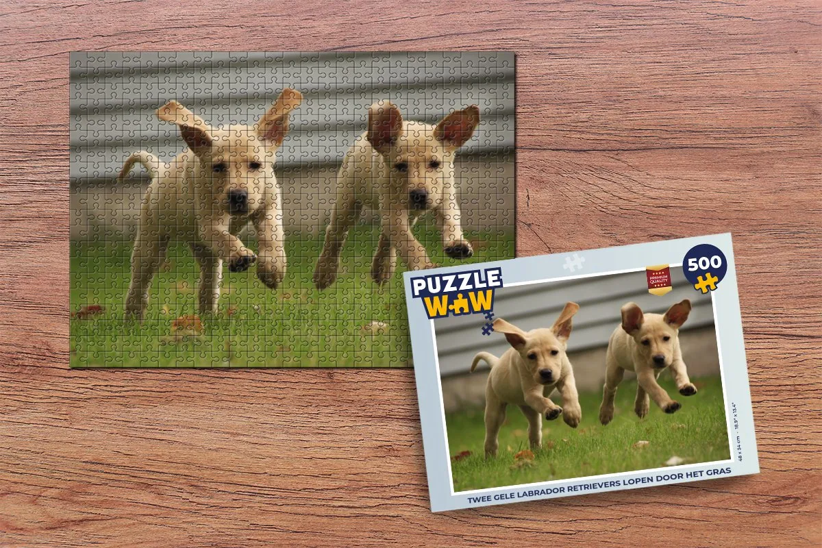 PuzzleWow Legpuzzel Labrador Retrievers 500 Stuks - Multicolor