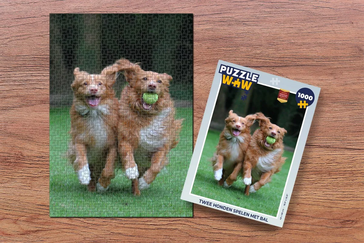 PuzzleWow Legpuzzel 1000 Stuks Twee Honden Multicolor