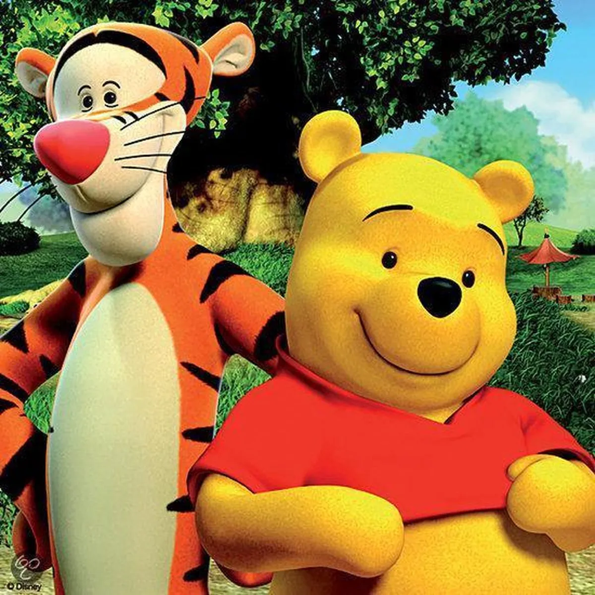 Ravensburger Hello Tigger & Pooh Puzzel