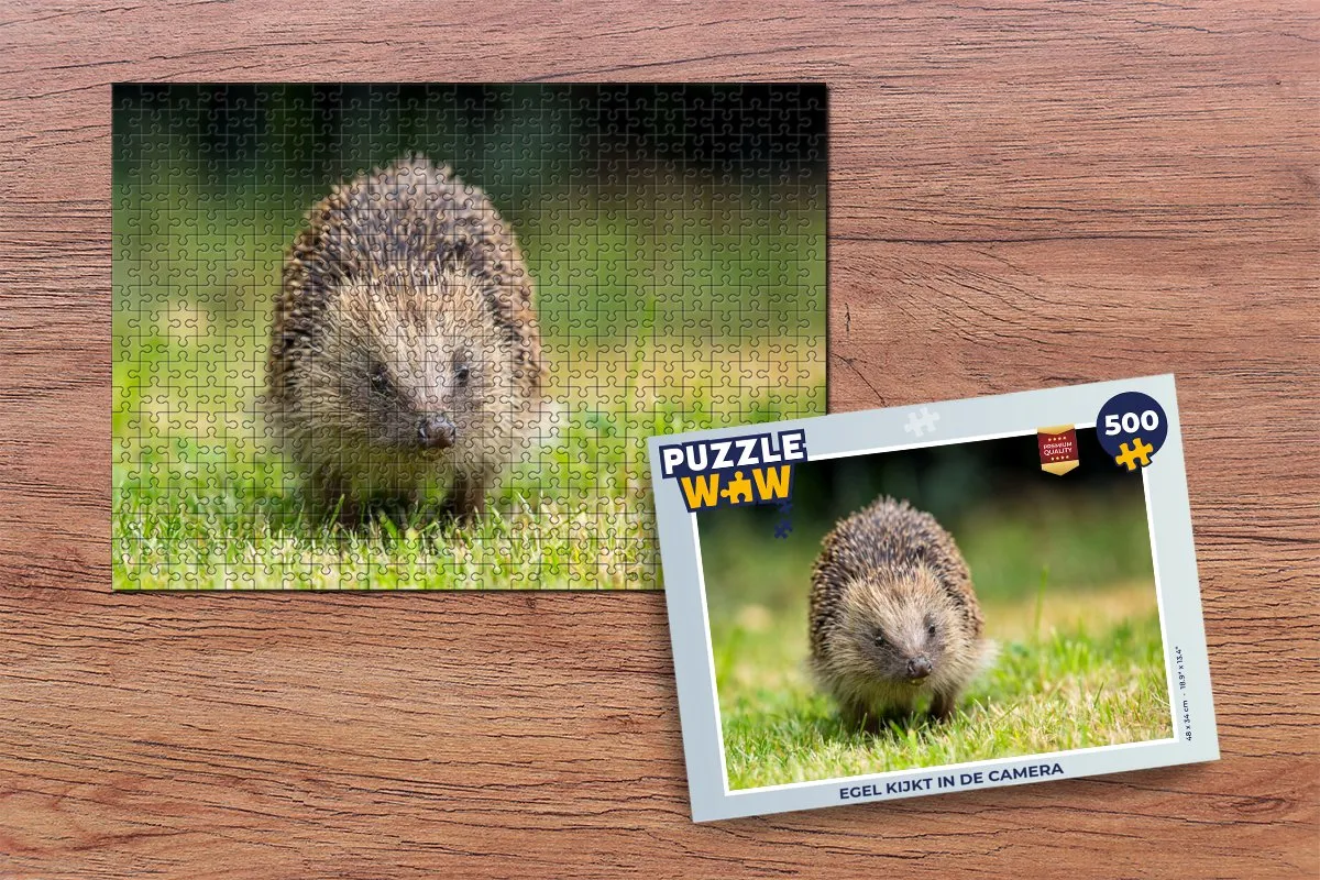 PuzzleWow Legpuzzel Egel 500 Stuks - Multicolor