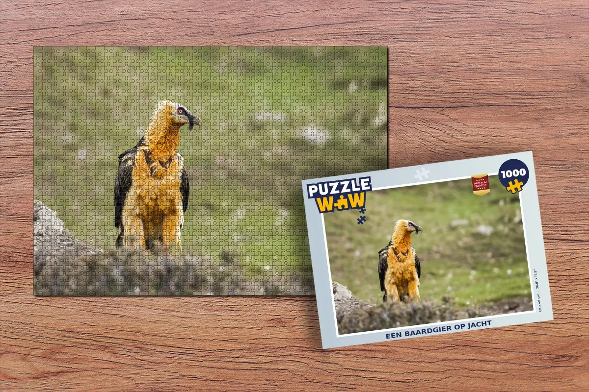 PuzzleWow Legpuzzel Een Baardgier op jacht 1000 Stuks - Multicolor