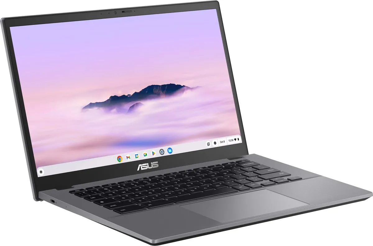 ASUS Chromebook Plus CX3402CVA-PQ0559 - 14" Full HD - i3-1315U - 8GB/128GB - Grijs