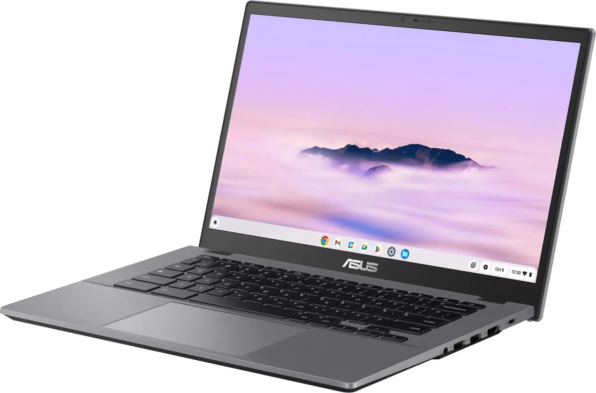 ASUS Chromebook Plus CX3402CVA-PQ0559 - 14" Full HD - i3-1315U - 8GB/128GB - Grijs