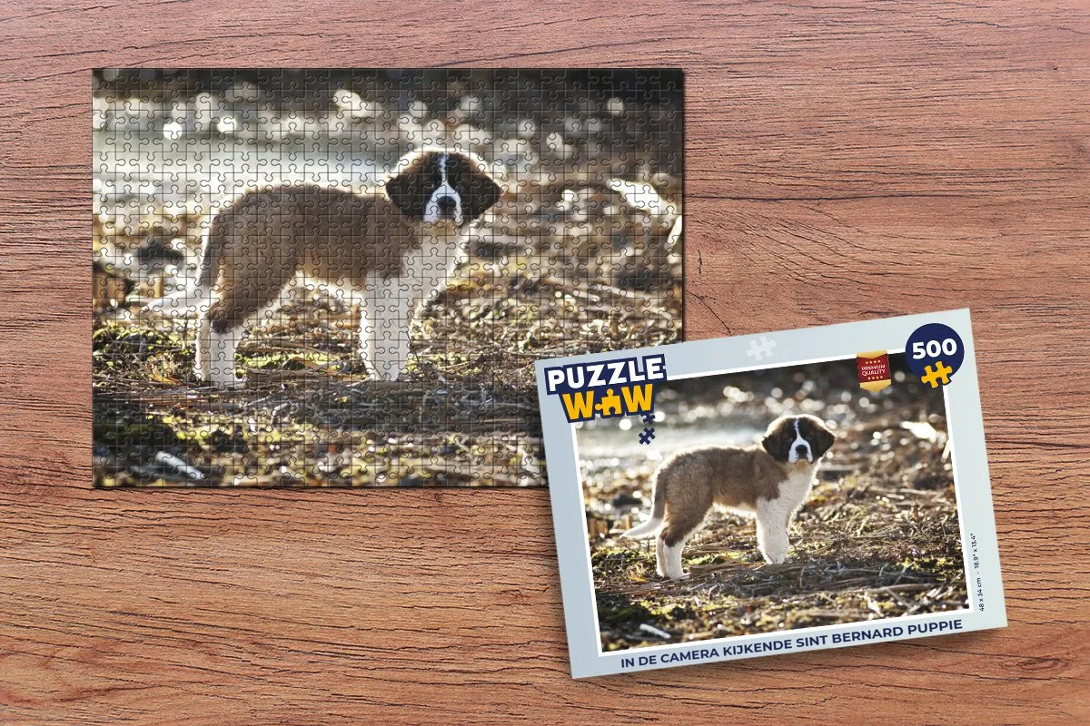 PuzzleWow Legpuzzel In de Camera Kijkende Sint Bernard Puppy 500 Stuks - Multicolor