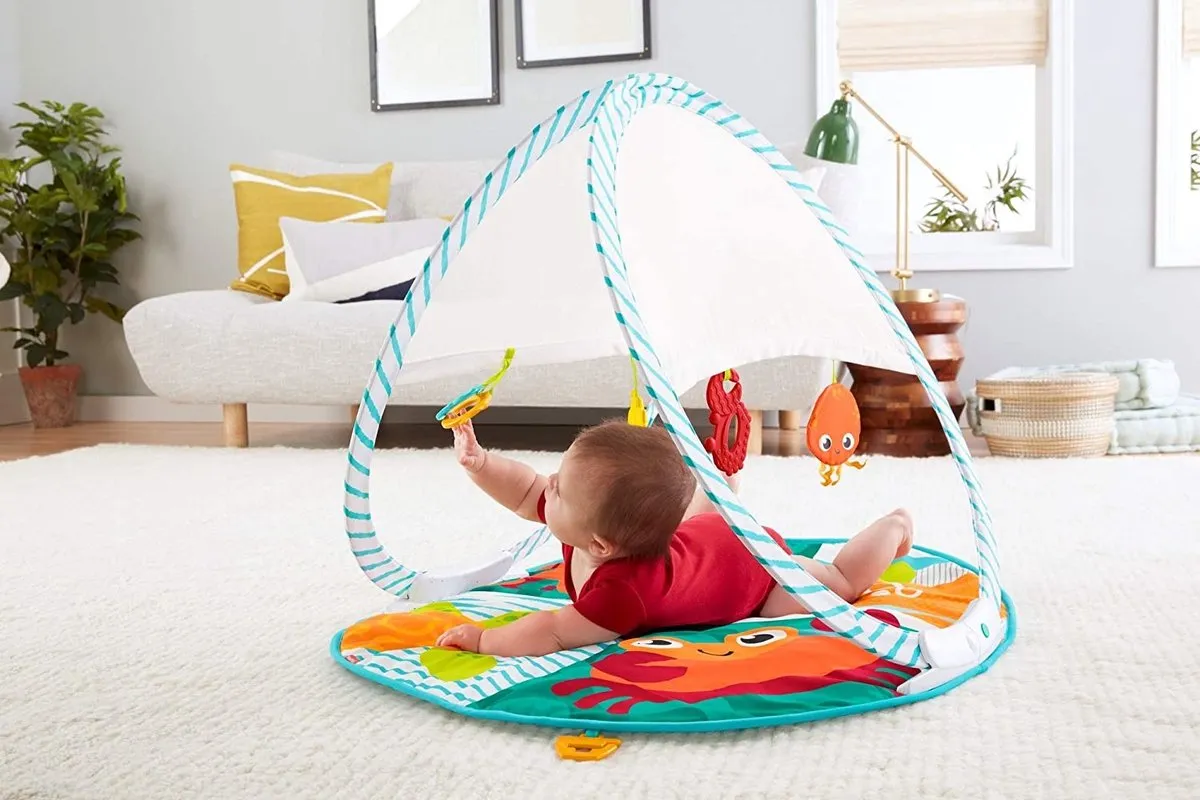 Fisher Price Draagbare Gym - 4 Speelelementen