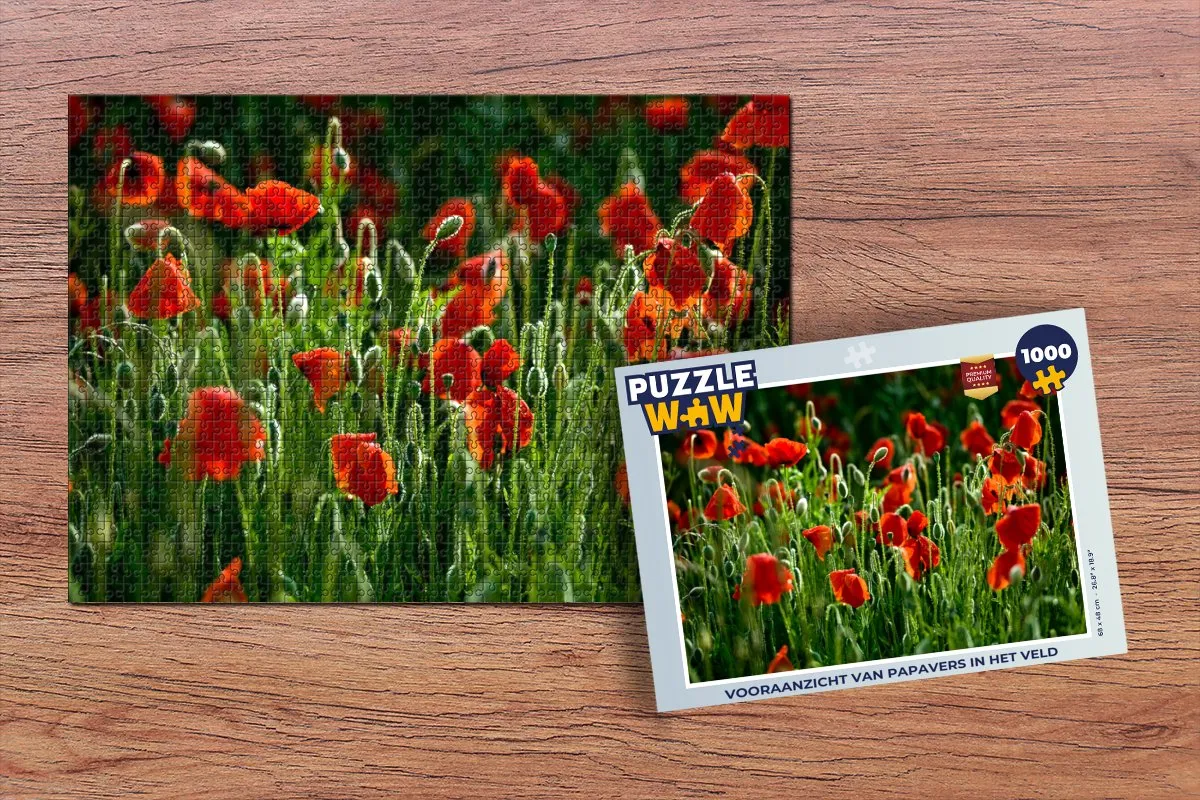 PuzzleWow Legpuzzel 1000 Stuks Multicolor - MPN 6017002272292