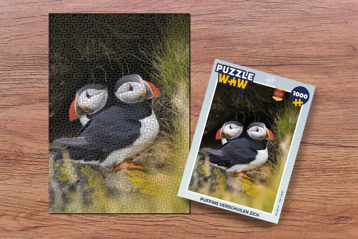 PuzzleWow Puzzel Puffins Verschuilen Zich - 1000 Stuks - Multicolor