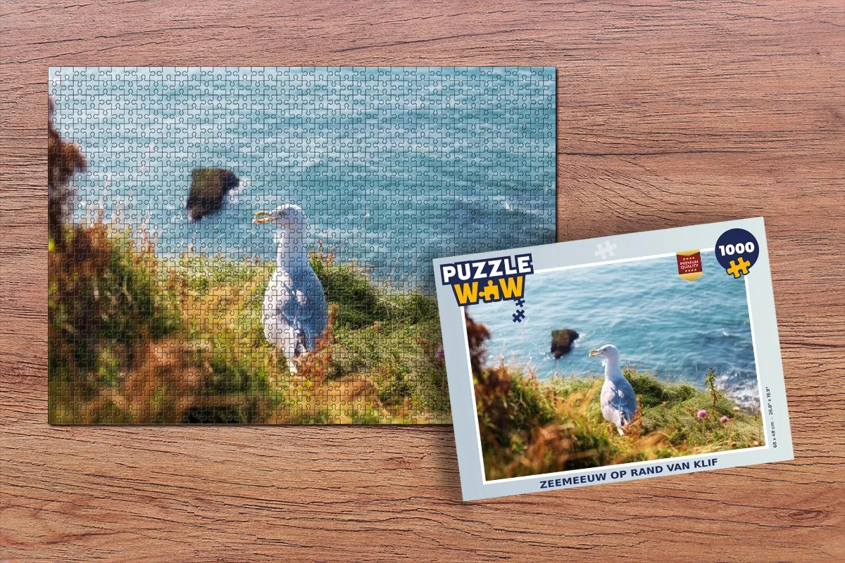 PuzzleWow Klif Water Legpuzzel 1000 Stuks - Multicolor