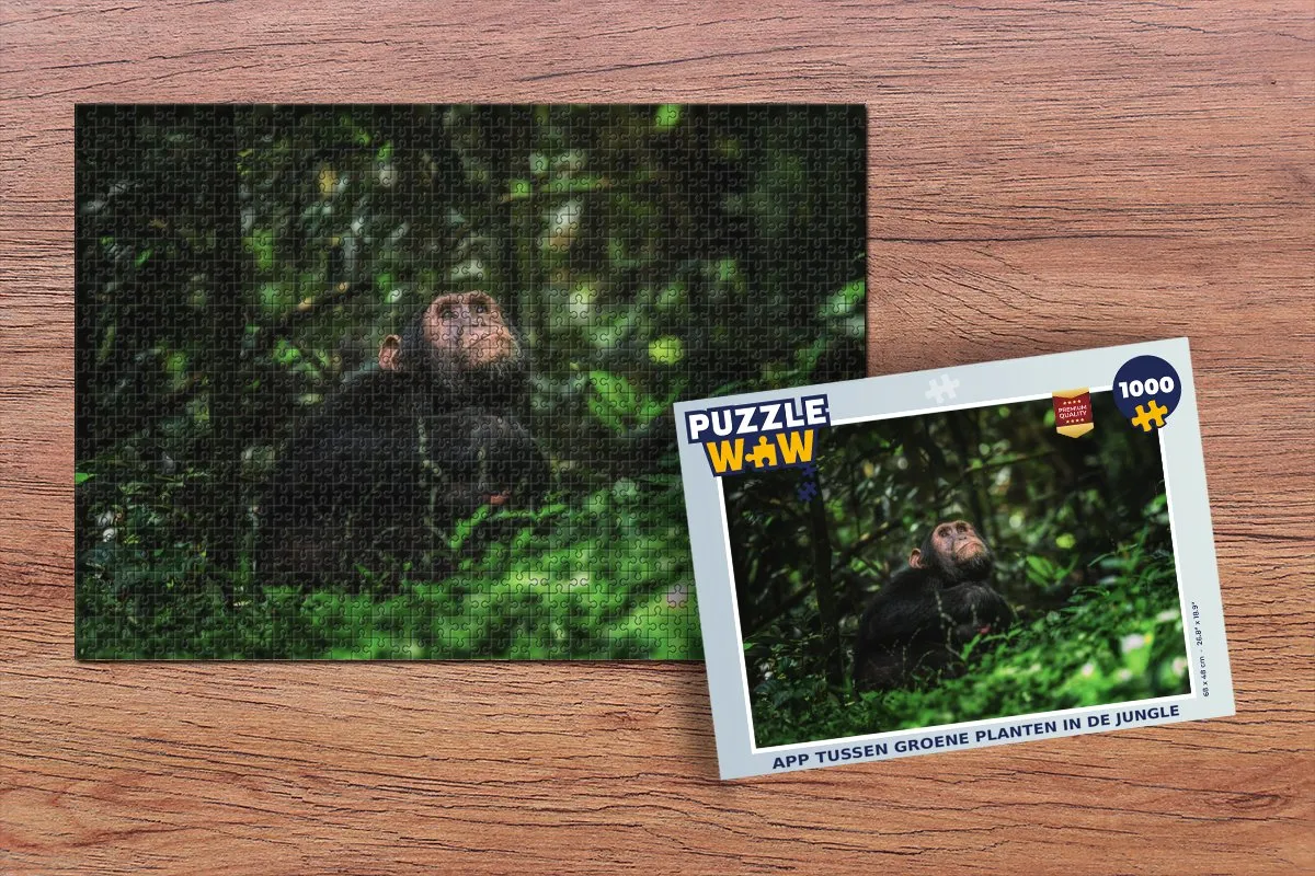 PuzzleWow Jungle Legpuzzel 1000 Stuks - Multicolor