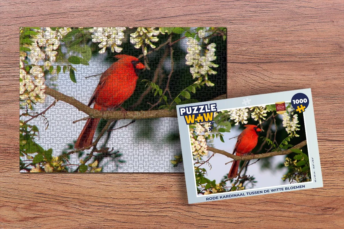 PuzzleWow Legpuzzel Rode Kardinaal 1000 Stuks - Multicolor