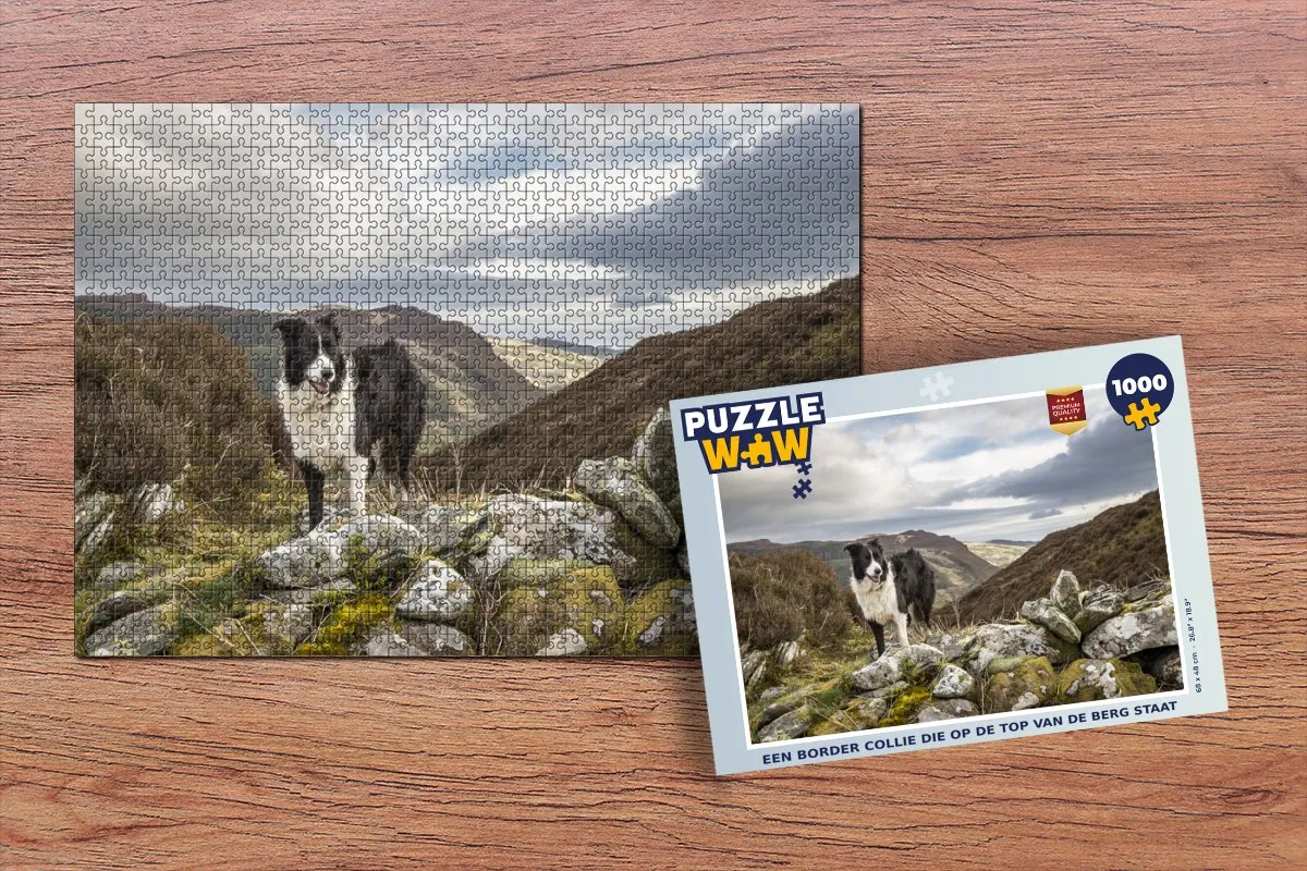 PuzzleWow Border Collie Bergtop Legpuzzel 1000 Stuks - Multicolor
