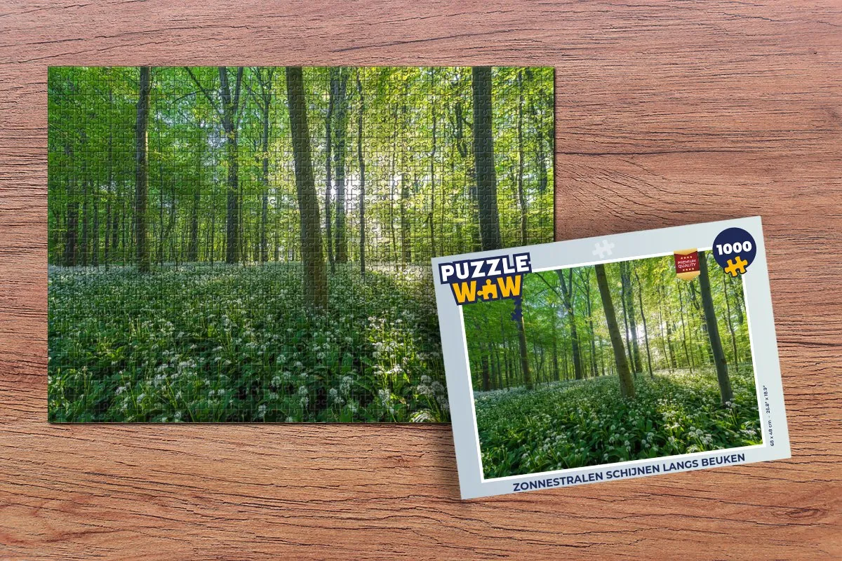 PuzzleWow Legpuzzel Zonnestralen 1000 Stuks - Multicolor