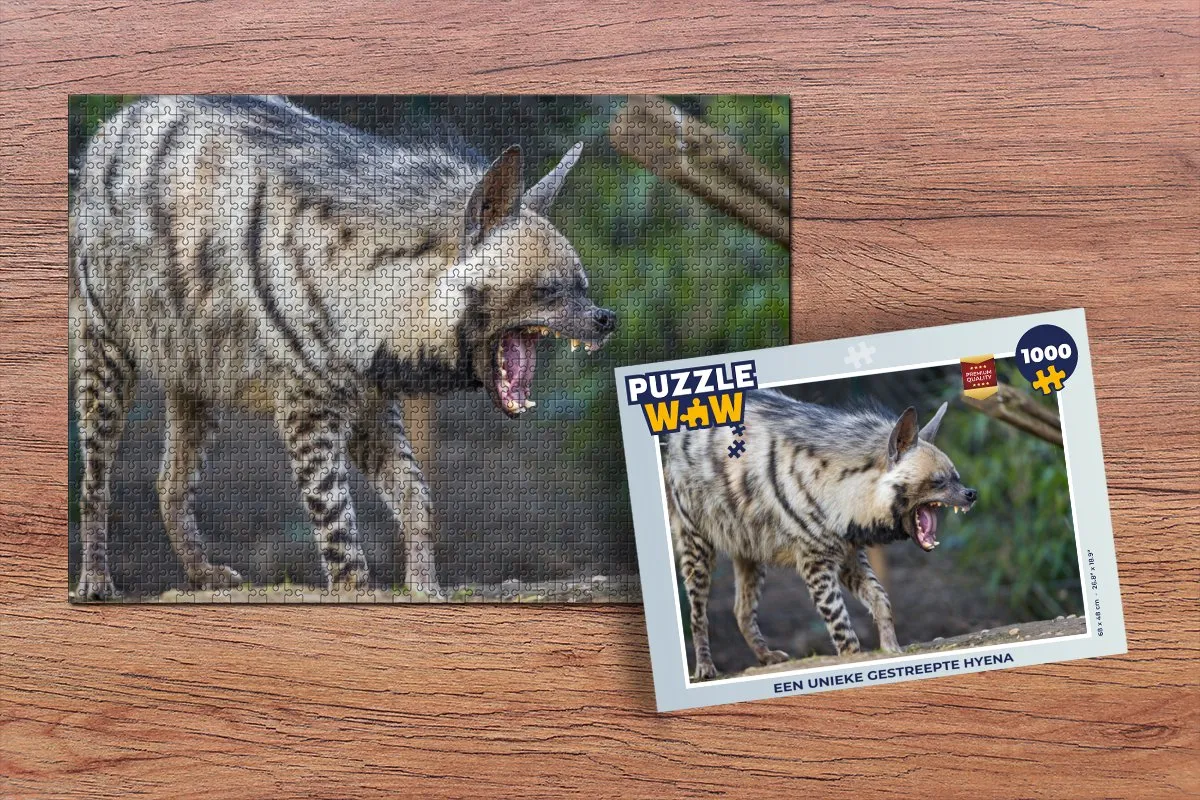 PuzzleWow Hyena Legpuzzel 1000 Stuks - Multicolor